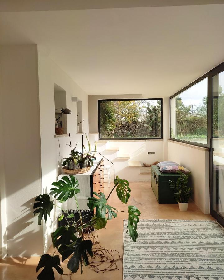 فيلا Casa Aquilino كاسترينيانو دل كابو المظهر الخارجي الصورة